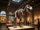 tyrannosaurus-rex-ursprung-und-bedeutung-des-maechtigen-namens