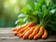 was-bedeutet-der-name-ginger-spannende-details-ueber-herkunft-und-bedeutung